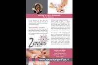 Zenses Body & Feet