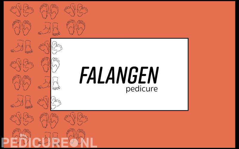 Falangen