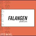 Falangen