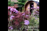 Pedicure 013 Udenhout