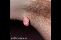 Praktijk voor Welzijn