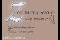 Zool-Mate pedicure
