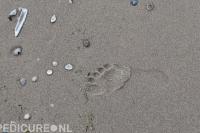 Hofman Pedicure praktijk en Beauty