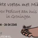 De Zachte Voet